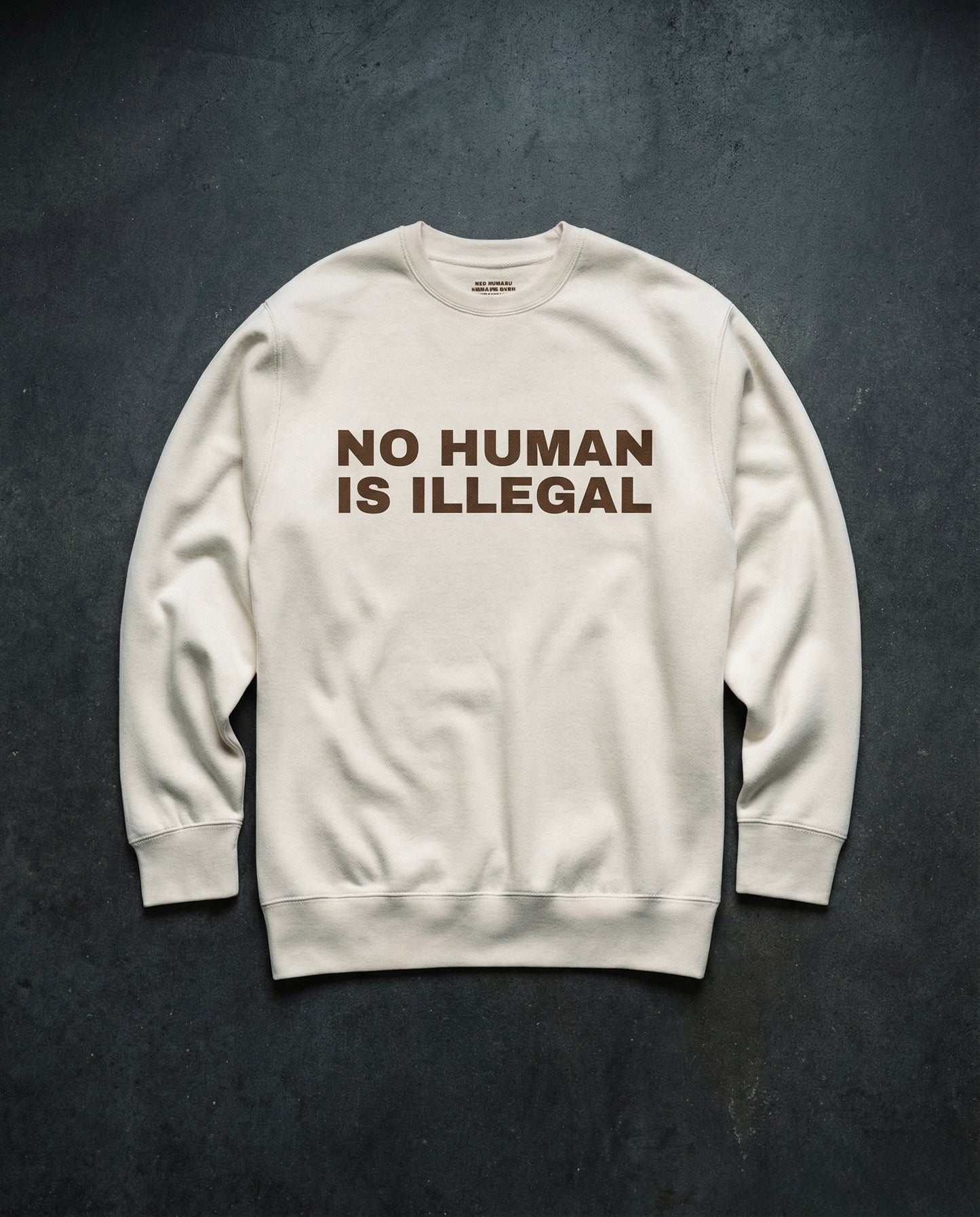 NO HUMAN IS ILLEGAL Crewneck Concrete Background in Bone | BAD BUREAU 